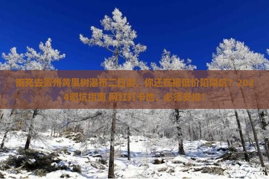 南充去贵州黄果树瀑布二日游