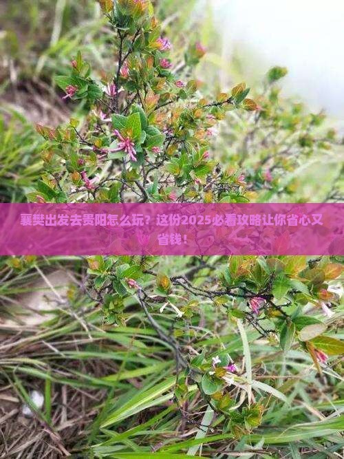 襄樊去贵州贵阳攻略