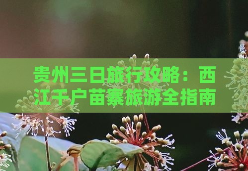 一月到贵州西江千户苗寨三日游