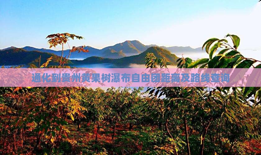 通化到贵州黄果树瀑布自由团距离及路线查询