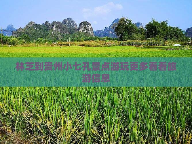 林芝到贵州小七孔景点游玩更多看看旅游信息