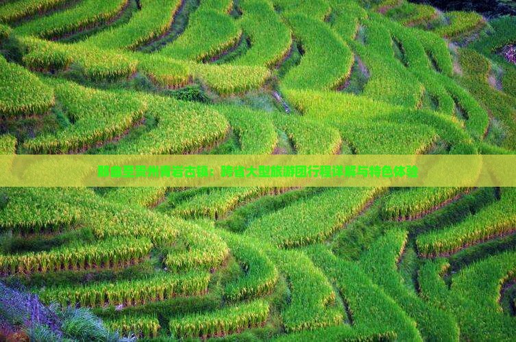 那曲至贵州青岩古镇：跨省大型旅游团行程详解与特色体验