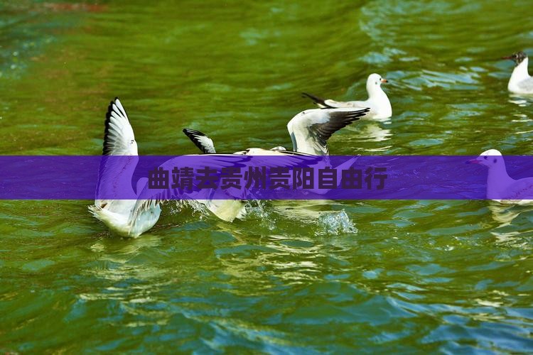 曲靖去贵州贵阳自由行