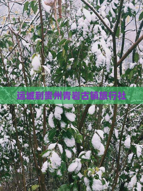 运城到贵州青岩古镇旅行社