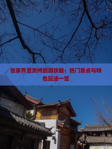 张家界至贵州旅游攻略：热门景点与特色玩法一览