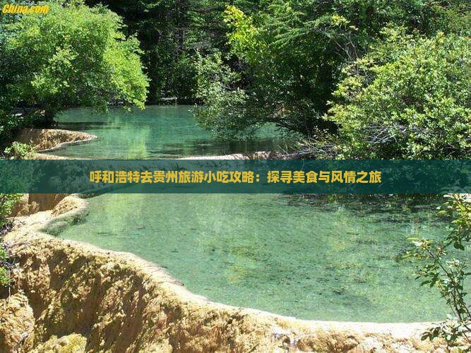 呼和浩特去贵州旅游小吃攻略：探寻美食与风情之旅
