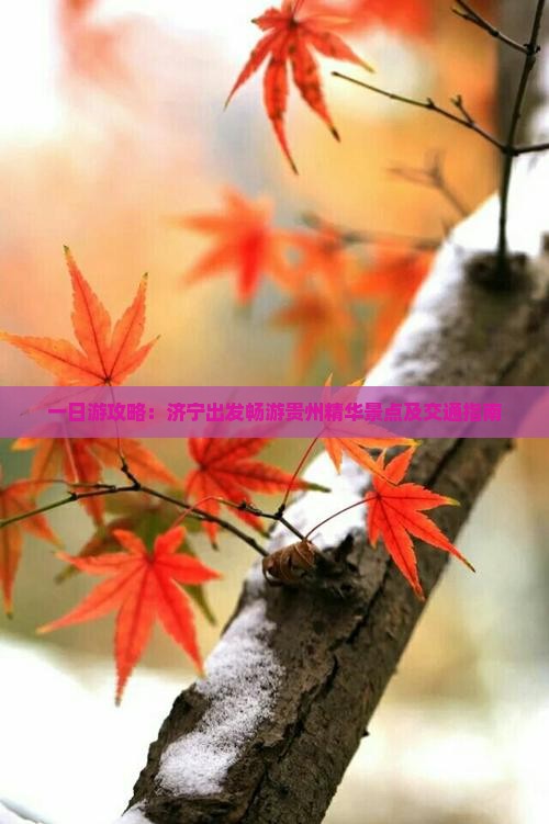 一日游攻略：济宁出发畅游贵州精华景点及交通指南