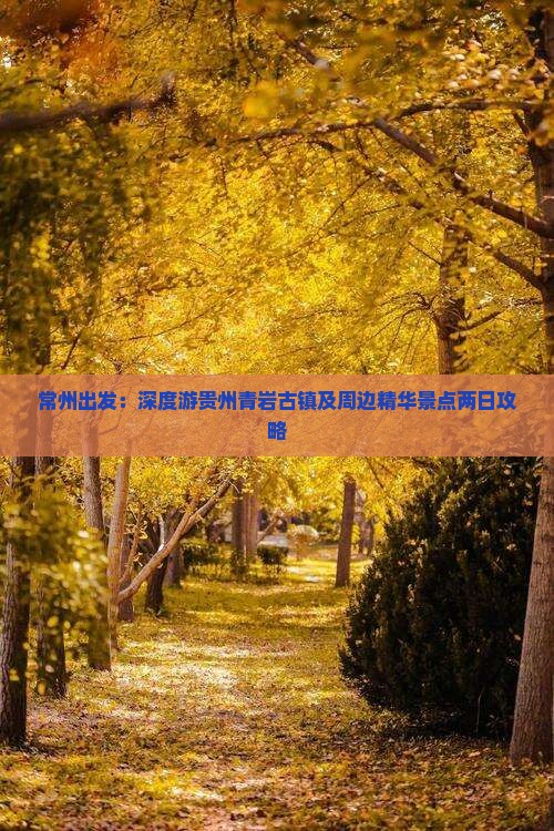 常州出发：深度游贵州青岩古镇及周边精华景点两日攻略