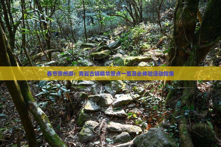 春节贵州游：青岩古镇精华景点一览及必体验活动指南