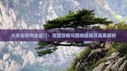 大丰去贵州自由行:完整攻略与路线指南及距离解析 大丰去贵州自由行:完整攻略与路线指南及距离解析