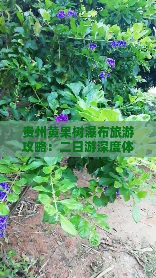 贵州黄果树瀑布旅游攻略：二日游深度体验