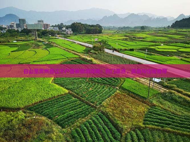 白山至贵州西江千户苗寨旅游攻略：热门景点、美食与住宿推荐