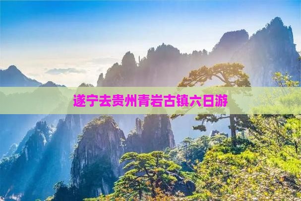 遂宁去贵州青岩古镇六日游