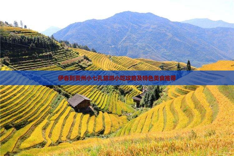 伊春到贵州小七孔旅游小吃攻略及特色美食推荐