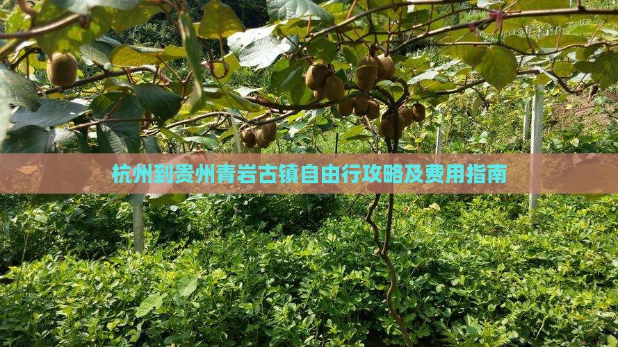 杭州到贵州青岩古镇自由行攻略及费用指南