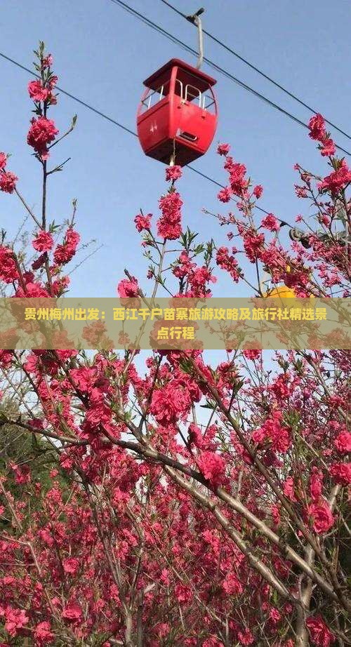 贵州梅州出发：西江千户苗寨旅游攻略及旅行社精选景点行程