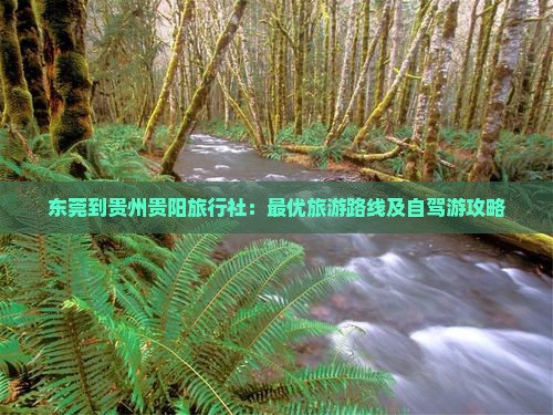 东莞到贵州贵阳旅行社：最优旅游路线及自驾游攻略