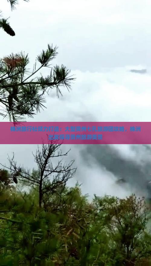 株洲旅行社倾力打造：大型贵州七孔旅游团攻略，株洲出发探寻贵州旅游美景