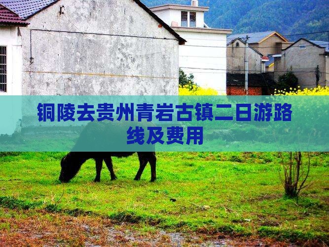 铜陵去贵州青岩古镇二日游路线及费用