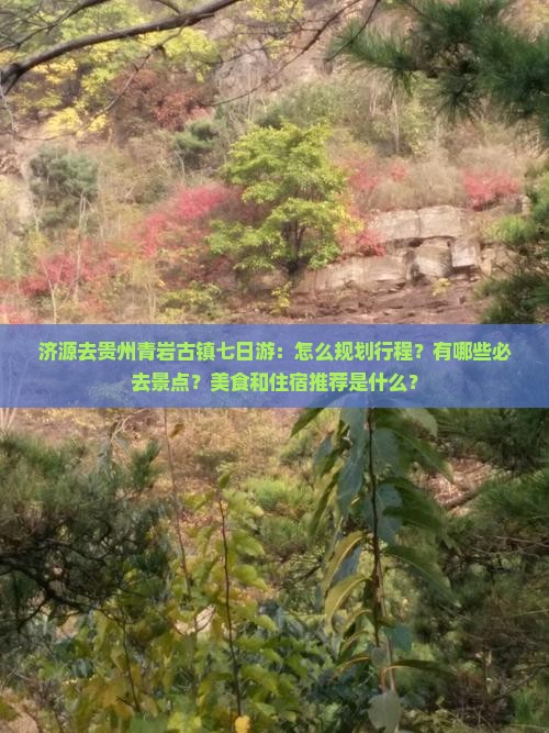 济源去贵州青岩古镇七日游