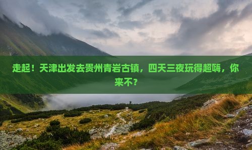 天津到贵州青岩古镇四日游