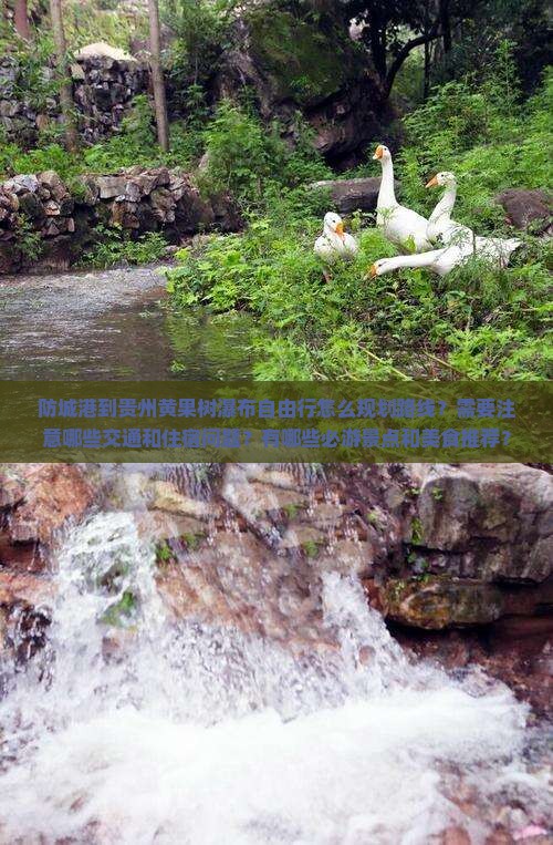 防城港到贵州黄果树瀑布自由行