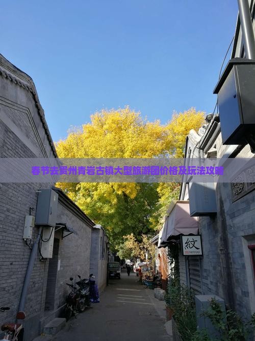 春节去贵州青岩古镇大型旅游团