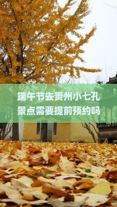 端午节到贵州小七孔景点