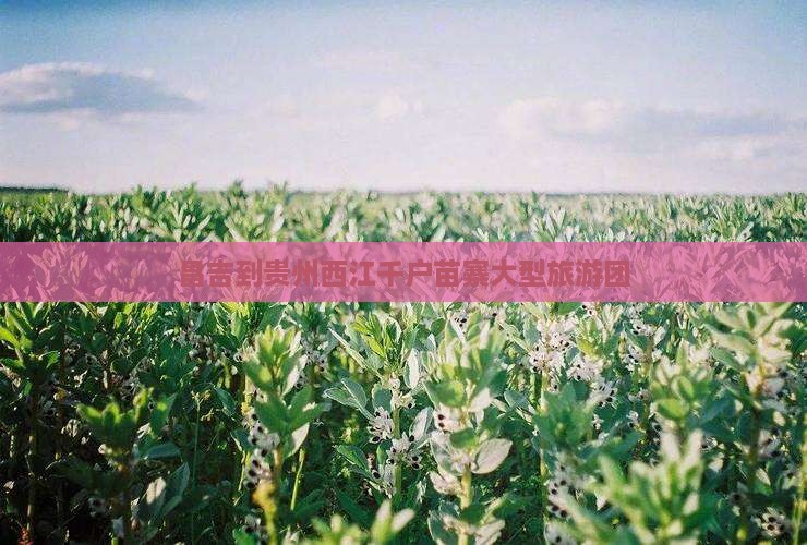 昌吉到贵州西江千户苗寨大型旅游团