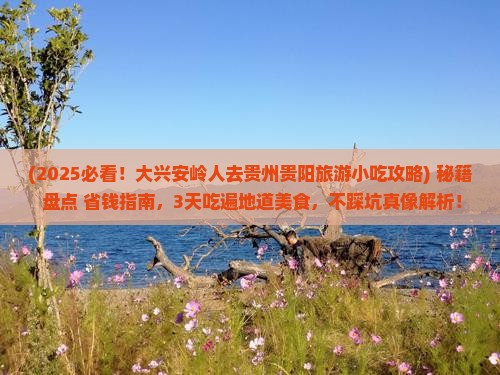 大兴安岭去贵州贵阳旅游小吃