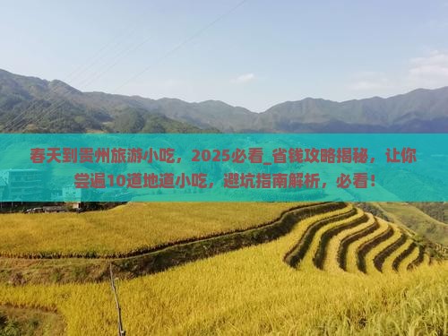春天到贵州旅游小吃