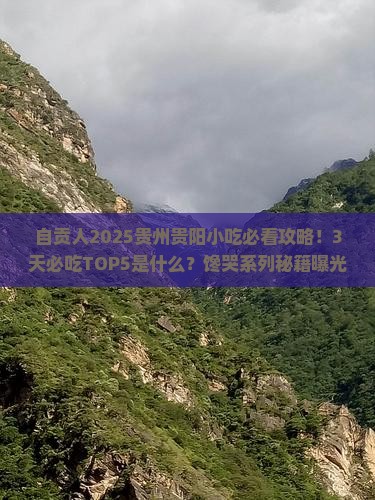 自贡去贵州贵阳旅游小吃