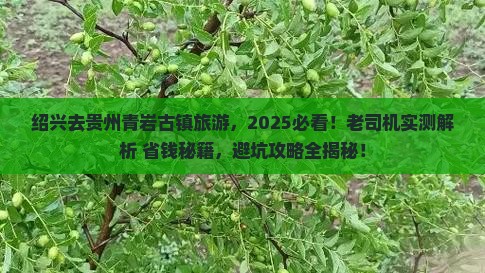 绍兴去贵州青岩古镇旅游