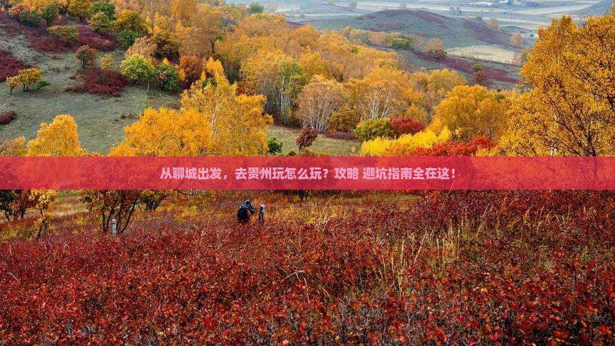 聊城到贵州景点