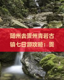 随州去贵州青岩古镇七日游