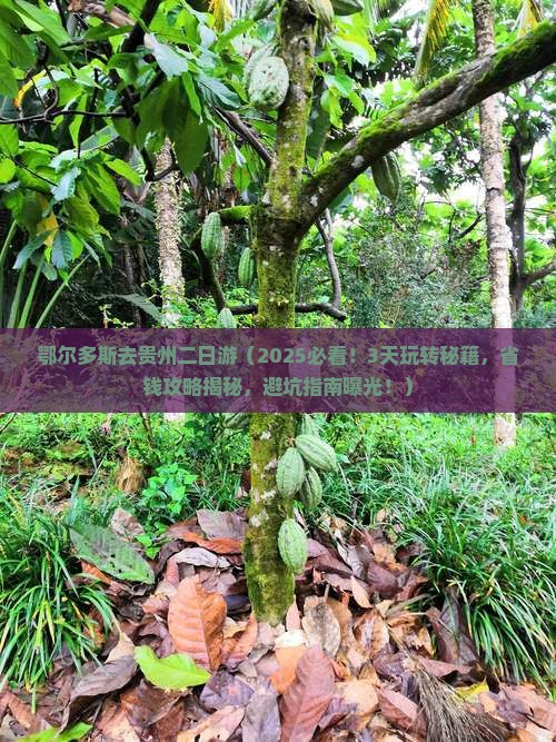 鄂尔多斯去贵州二日游