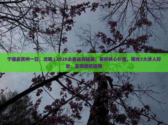 宁德去贵州一日