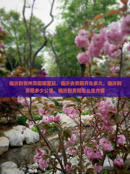 临沂到贵州贵阳哪里玩