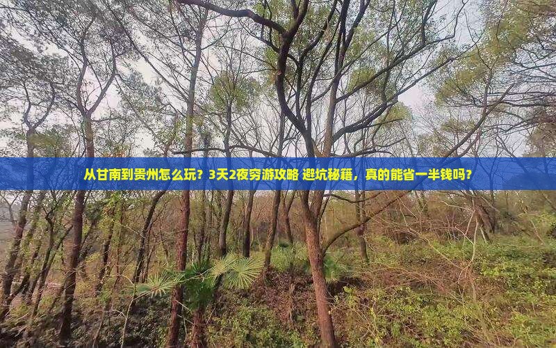 甘南去贵州旅游