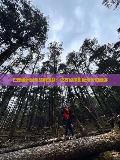 巴彦倬尔到贵州贵阳旅游