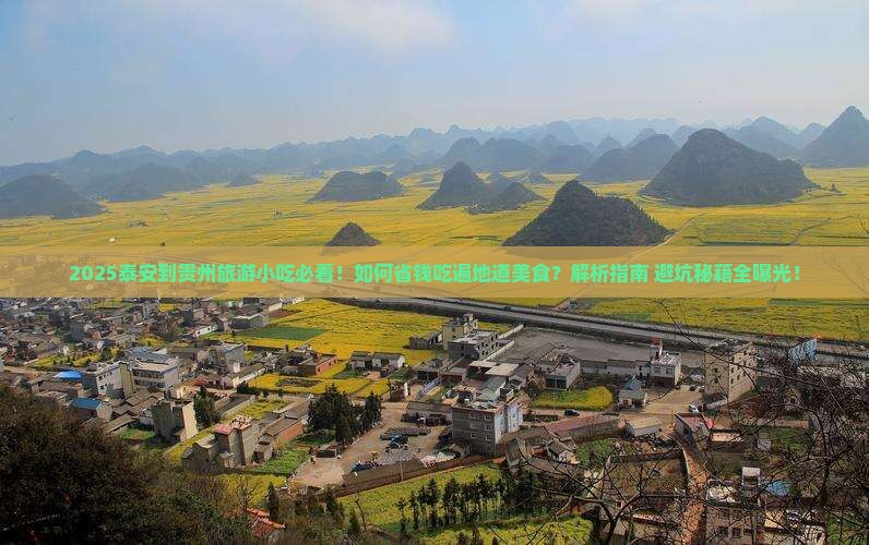 泰安到贵州旅游小吃
