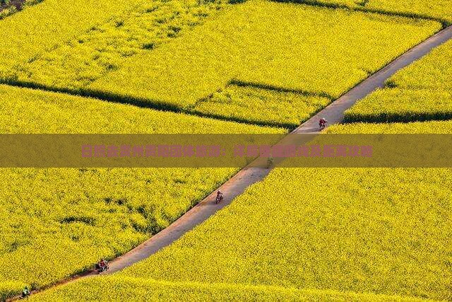 日照去贵州贵阳团体旅游：详解便捷路线及距离攻略