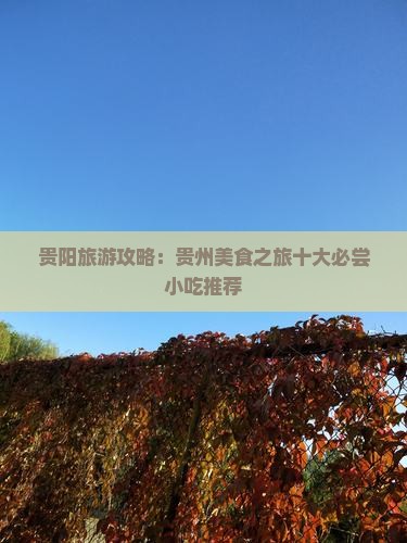 贵阳旅游攻略：贵州美食之旅十大必尝小吃推荐