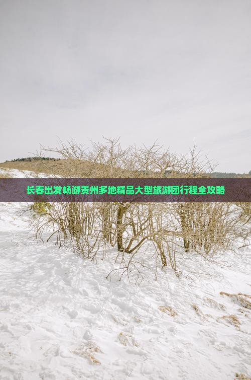 长春出发畅游贵州多地精品大型旅游团行程全攻略