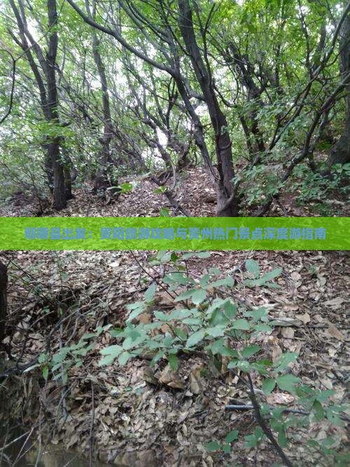 鄢陵县出发：贵阳旅游攻略与贵州热门景点深度游指南