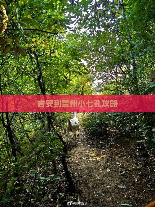 吉安到贵州小七孔攻略