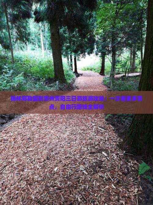 锡林郭勒盟到贵州贵阳三日游旅游攻略：一次看更多景点，自由行路线全解析