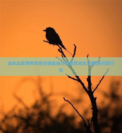 汕头出发贵州青岩古镇自由行必去景点全攻略|易行旅行社