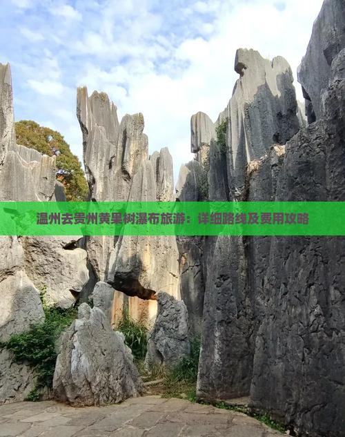 温州去贵州黄果树瀑布旅游：详细路线及费用攻略