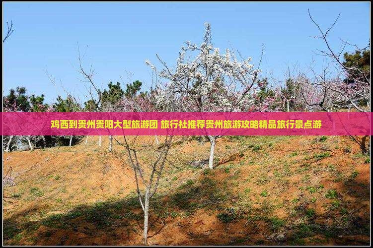 鸡西到贵州贵阳大型旅游团 旅行社推荐贵州旅游攻略精品旅行景点游